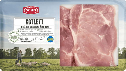 490053 Kotlett Hållbarhetsgrisen ovan