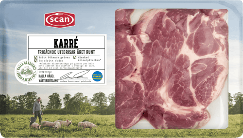 493184 Karré Halla gårdsgris