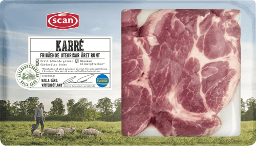 493184 Karré Hållbarhetsgrisen ovan
