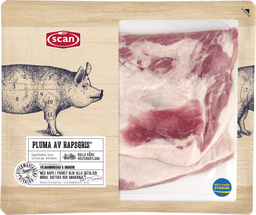 498978 SM RAPS PLUMA OVAN CA 650G