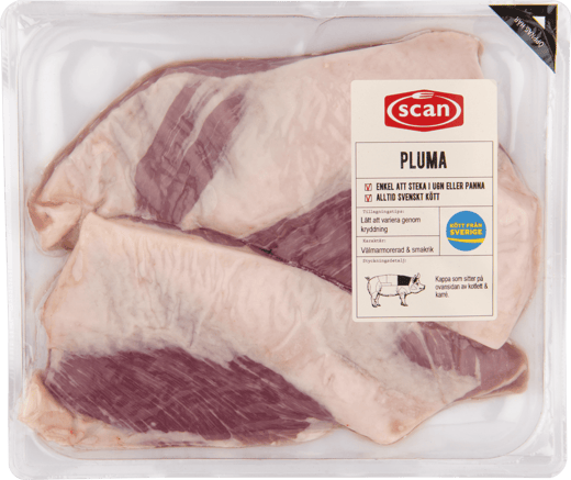 490131 Pluma