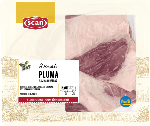 490131 Pluma