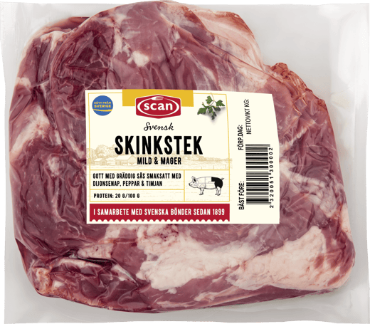 491908 Skinkstek