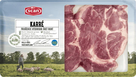 493184 Karré Halla gårdsgris