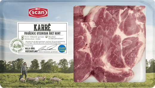 493184 Karré Hållbarhetsgrisen ovan