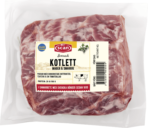 491923 Kotlett