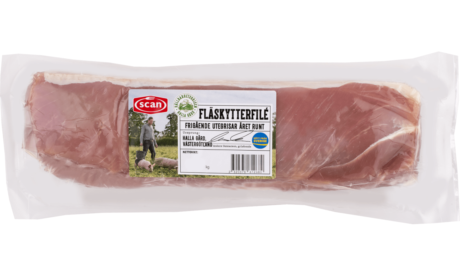 663786 FLÄSKYTTERFILE HB SCAN OVAN