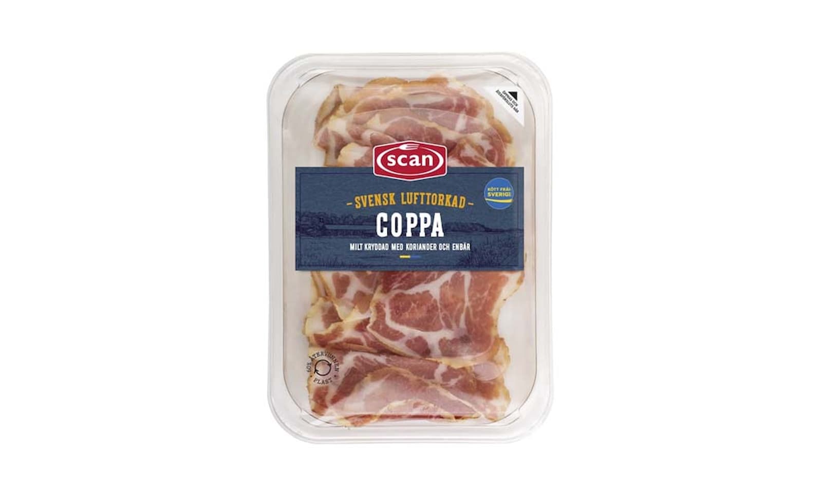 coppa scan whitebg22